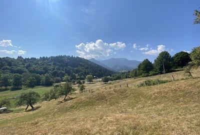 Teren extravilan de vanzare in Rasnov | 6.070 mp | Vedere panoramica - 9