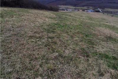 Teren de 5487 mp, în Sânmartin - 5