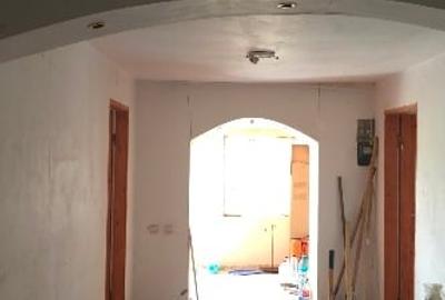 Casă individuală cu 4 camere cu Teren 4500 Mp în Cotu Văii - 3