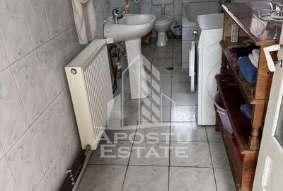 Casă cu 5 camere cu Teren 3383 Mp în Remetea Mare - 12