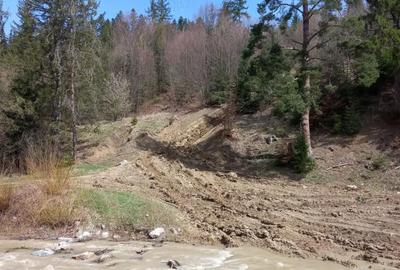 Teren de 22250 mp, în Voroneț - 7