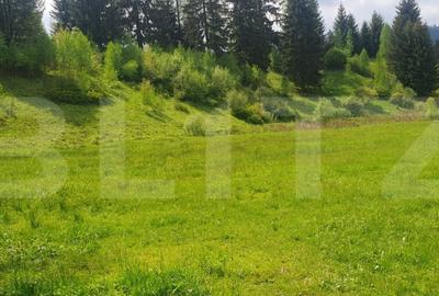 Teren de 2411 mp, în Central