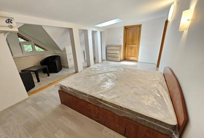 Apartament cu 2 camere semidecomandat în Timpuri Noi - 3