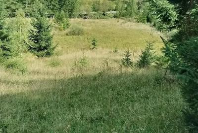 Teren de 18600 mp, în Panaci - 2