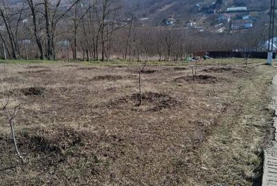 Teren Construcții intravilan de 1500 mp, în Muntenii de Jos - 1