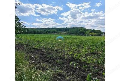 Teren intravilan de vanzare ideal pentru investitie - 3