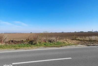 Spațiu comercial, în Foieni - 4