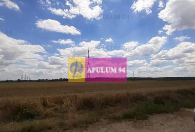 Teren 715mp in Snagov langa Equestria - 10