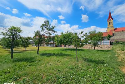 Casă cu 5 camere cu Teren 1200 Mp în Cenad - 8