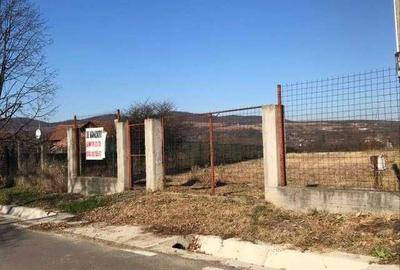 Teren de 3000 mp, în Săsenii Vechi - 2