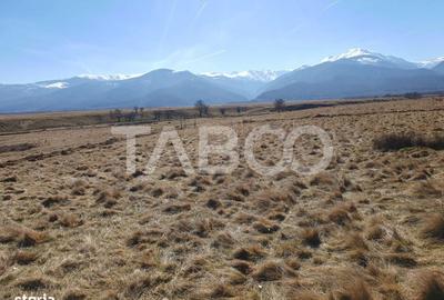 Teren de 1000 mp, în Recea - 1