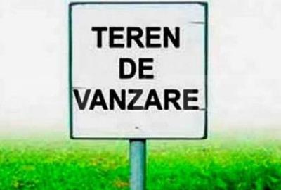 Teren extravilan ,20.000 mp Remetea Mare-Ianova - 1