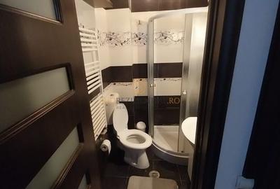 Apartament modern, 2 camere, complet mobilat si utilat, Parc Pecinega - 7