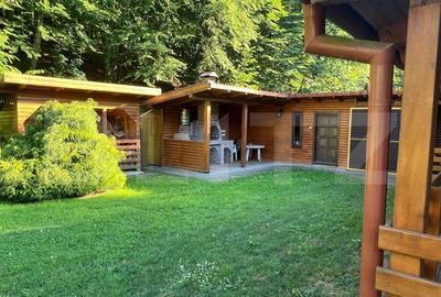 Cabana moderna in Campul Cetatii - confort si natura in acelasi loc - 2