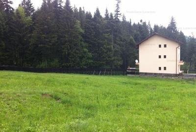 Teren intravilan Cotul Donului,pretabil Hotel/pensiune. - 2