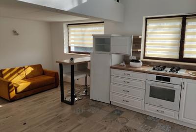 Spațiu comercial, în Gilău - 7