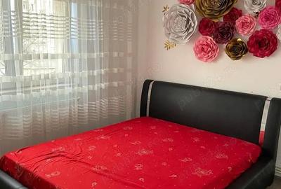 Apartament cu 2 camere semidecomandat în Mioriței - 2