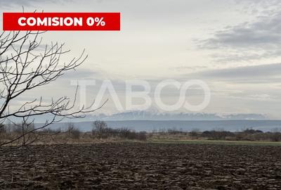 Teren 3750 mp deschidere 54 m de vanzare in Paltinis Sibiu - 1