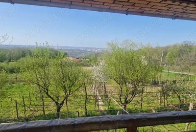 Casă cu 3 camere cu Teren 800 Mp în Bucium - 2