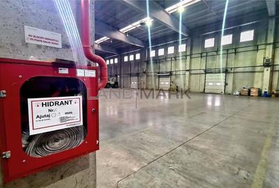 Hala industriala de vanzare Timisoara, trafo propriu 1000 kva - 12