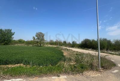 Teren Construcții intravilan de 15000 mp, în Snagov - 4