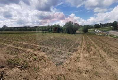 Teren de 1250 mp, în Șomcuta Mare - 5