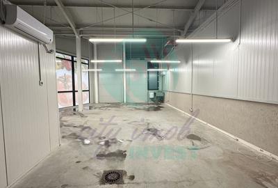 Spatii comerciale de inchiriat in PIATA DELFINULUI - 3