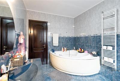 Conac de Lux cu Piscină și Grădină Impresionantă, î - 16