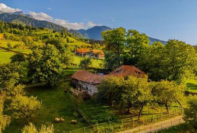 Teren de 3000 mp, în Bran - 6