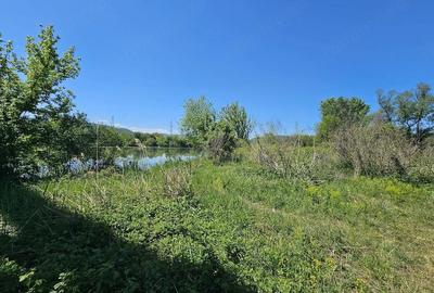 Teren de 12667 mp, în Șoimuș - 1