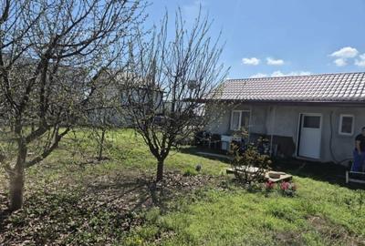 Teren în Berceni - 6