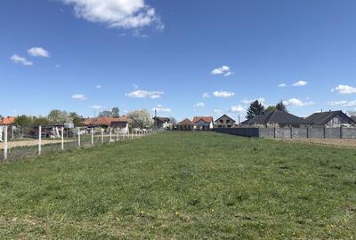 Teren de 2000 mp, în Micula - 4