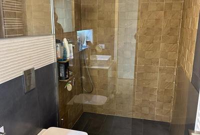 Inchiriere Penthouse Lux langa padure, Iancu Nicolae - 22