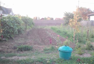 Casă cu 5 camere cu Teren 2800 Mp în Corabia - 4