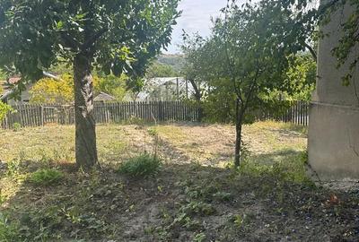 Casă cu 2 camere în Zărnești - 8