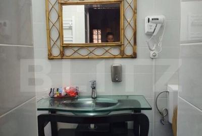 Oferta deosebita la cheie intr-un imobil istoric - 8