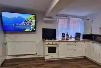 Cabana de vanzare, Afacere la cheie! 230 mp utili, zona Baisoara! - 2