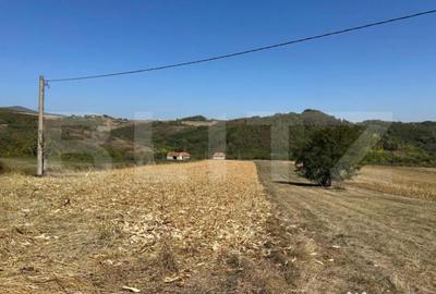 Teren de 14000 mp, în Vințu de Jos - 7