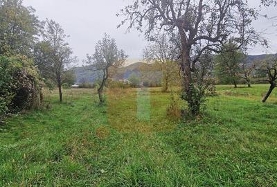 Teren intravilan de vânzare – 1.350 mp – Comuna Alexandru cel Bun - 3