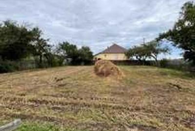 Casă cu 4 camere în Crăcăoani - 1