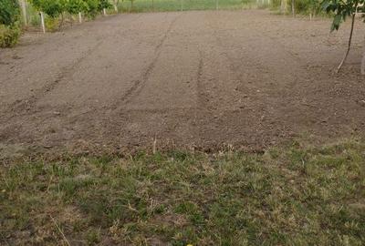 Casă cu 3 camere în Satu Nou - 8