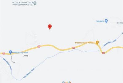 Teren de 1500 mp, în Broșteni - 4