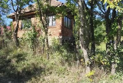 Casă cu 2 camere cu Teren 40 Mp în Vălișoara - 6