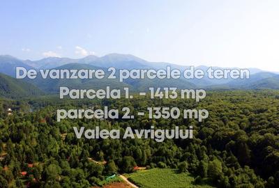 Teren de 1350 mp, în Porumbacu de Sus - 4