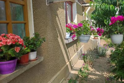 Casă cu 2 camere în Șimian - 2