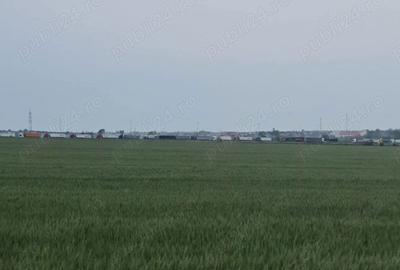 Teren de 25000 mp, în Lazu - 1