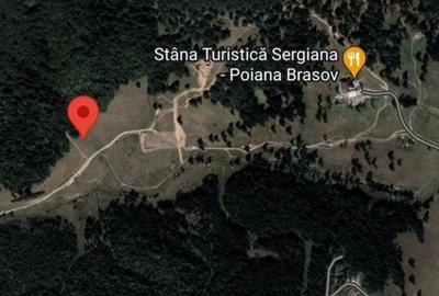 Teren Construcții intravilan de 38000 mp, în Poiana Brașov - 1