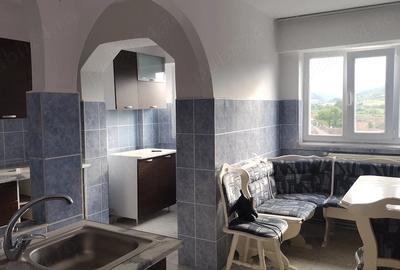 Apartament cu 2 camere decomandat în Vața de Jos - 4