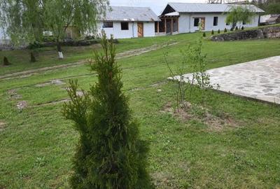 Spațiu comercial, de 723 mp, în Valea Cricovului - 5