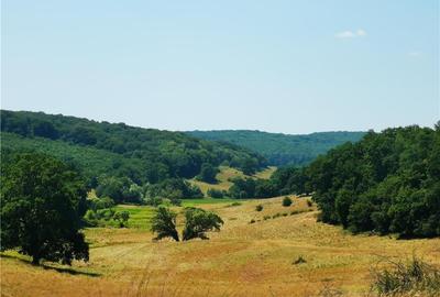 Teren de 50000 mp, în Central - 7